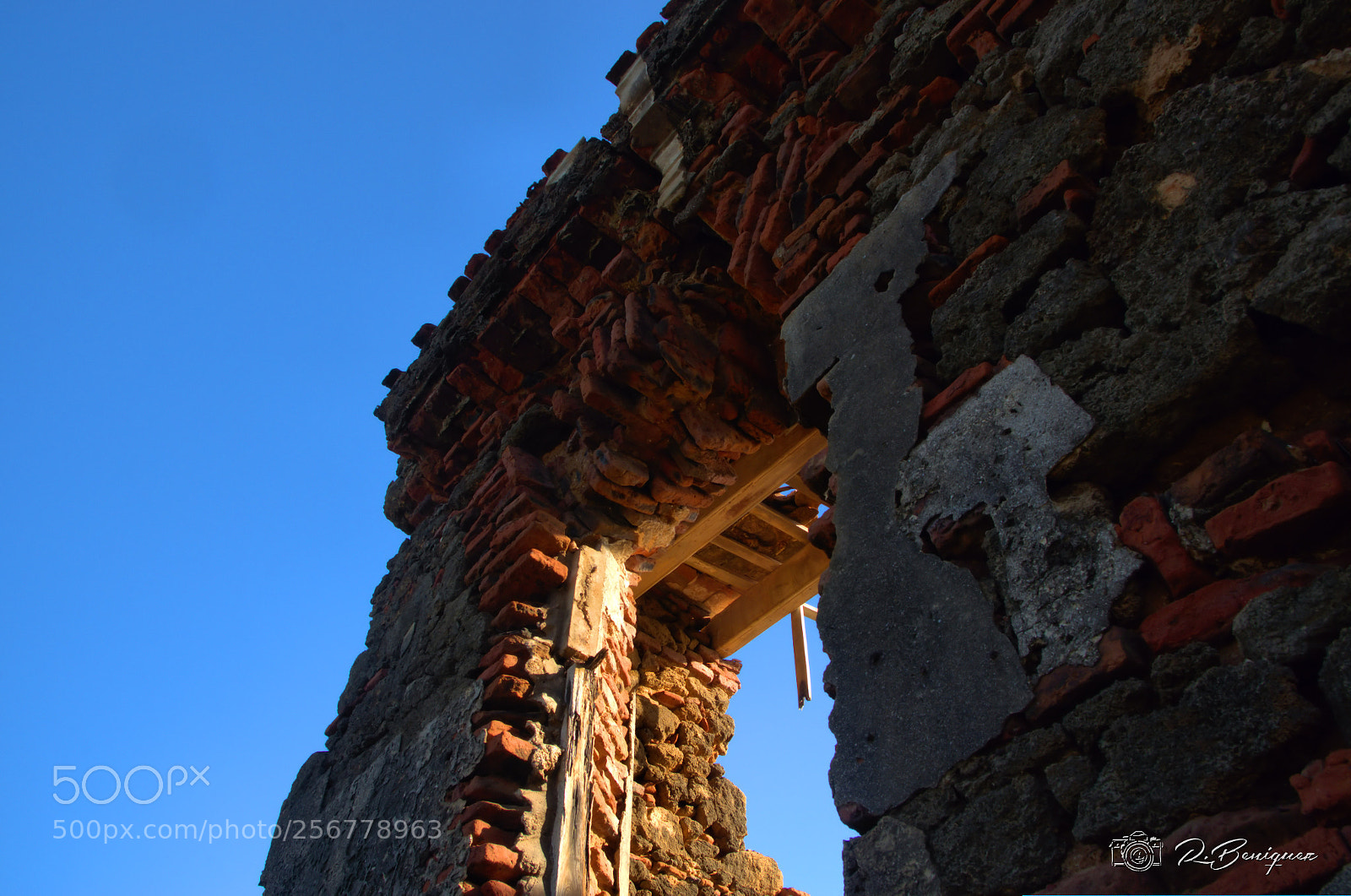 Nikon D5100 sample photo. Leprocomio en isla de photography