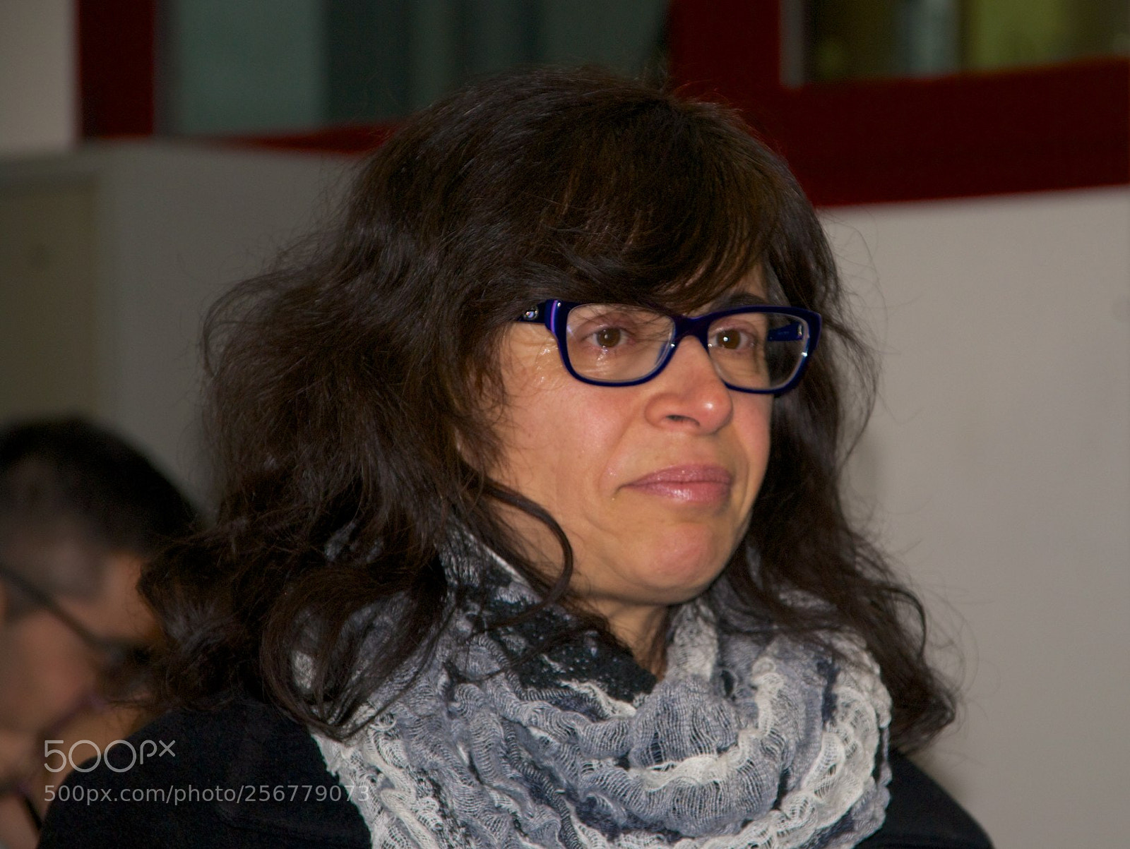 Nikon D60 sample photo. Version photography