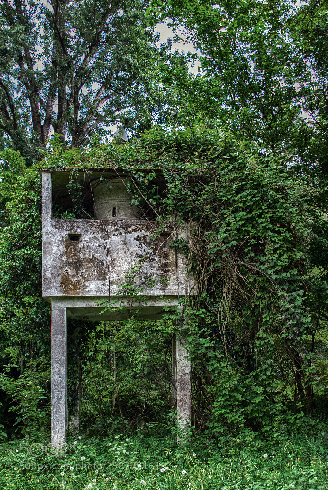 Sony Alpha DSLR-A200 sample photo. The watchtower photography