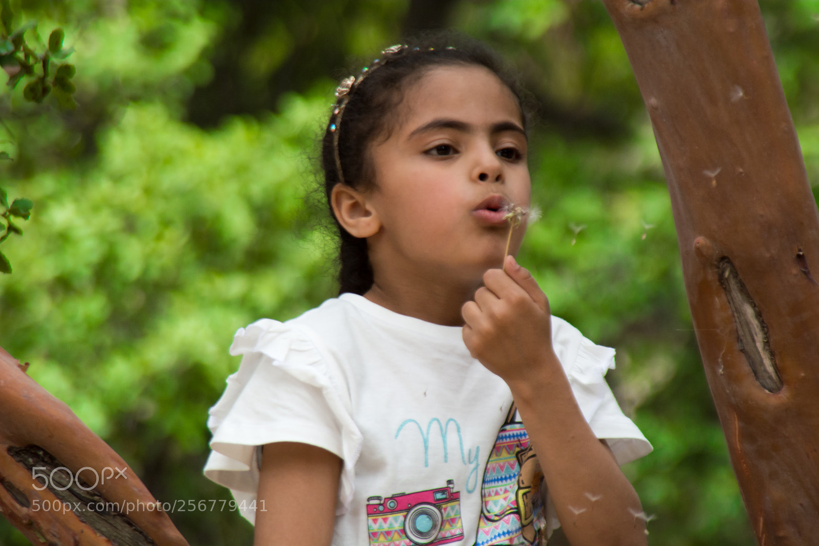 Nikon D5200 sample photo. Fulla photography