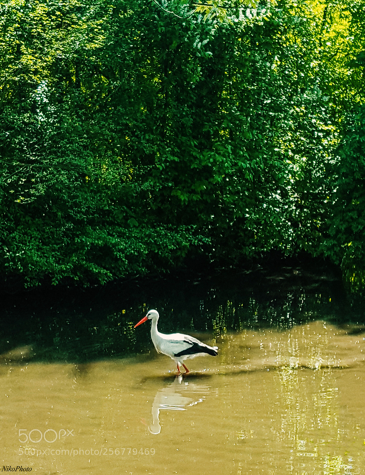 Samsung Galaxy S6 sample photo. Untitled photography