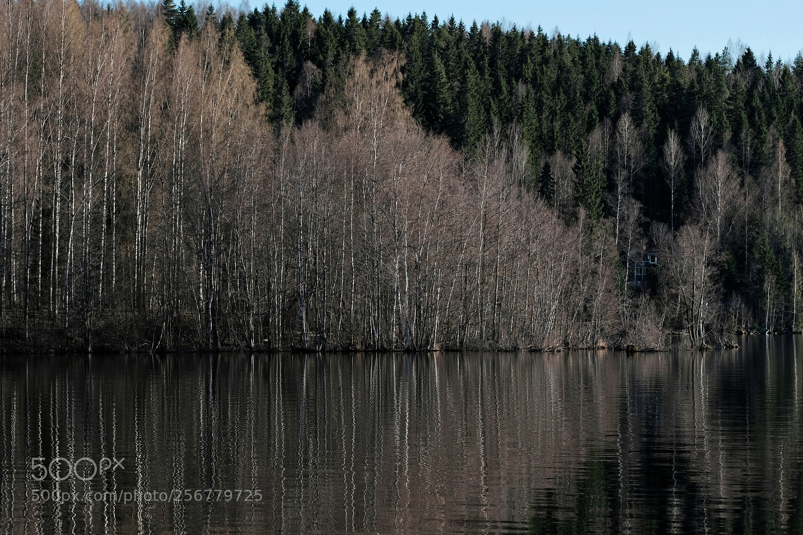 Fujifilm X-T2 sample photo. Trees photography