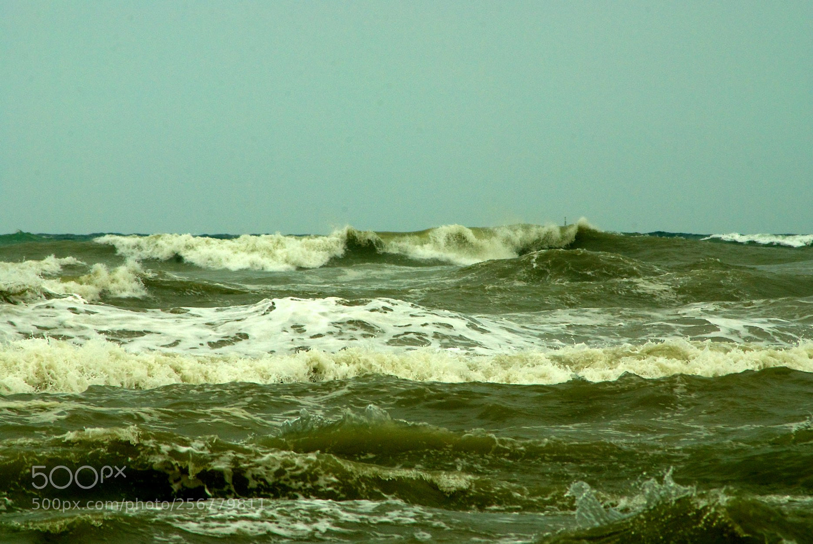 Nikon D60 sample photo. Version photography