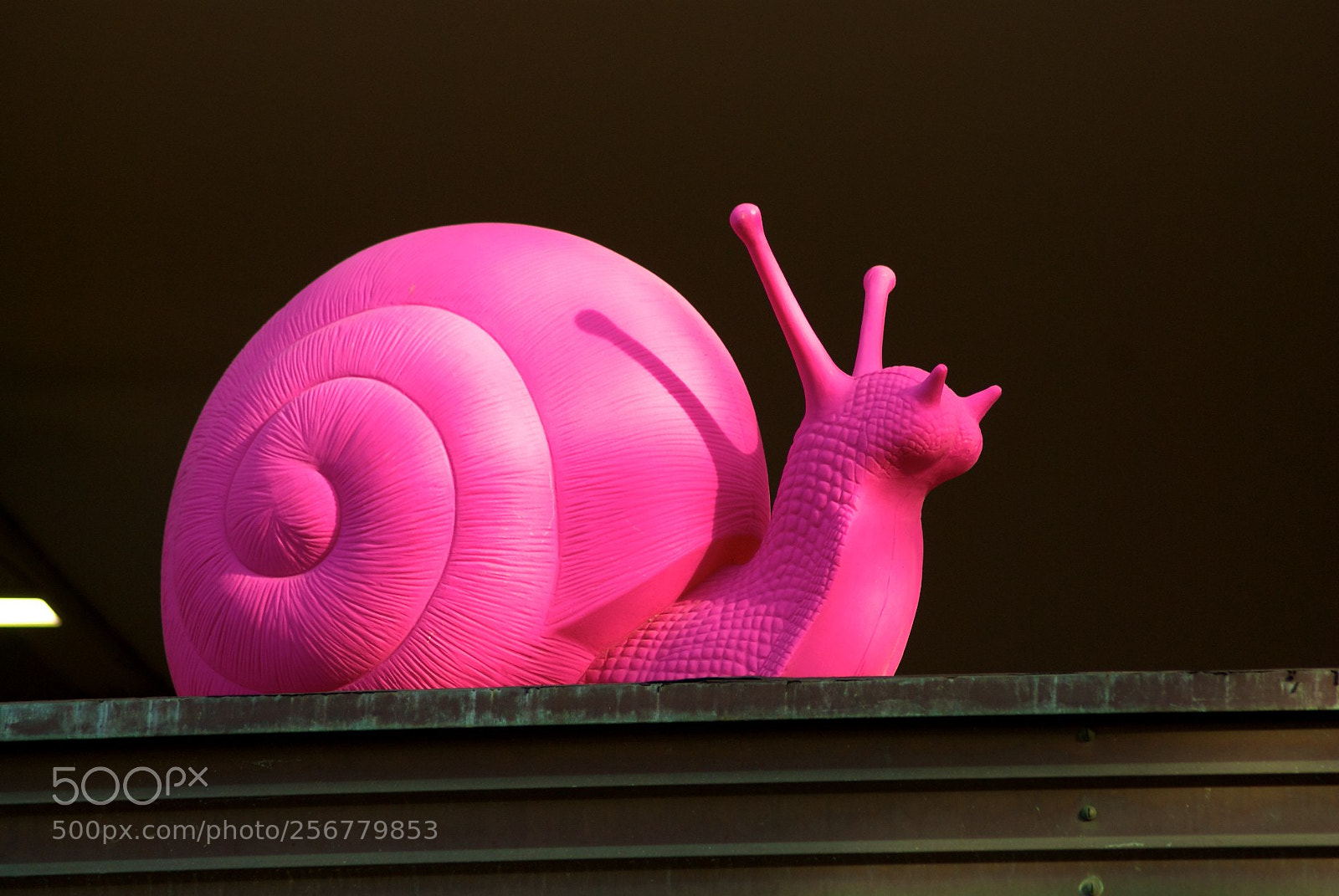 Nikon D60 sample photo. Version photography