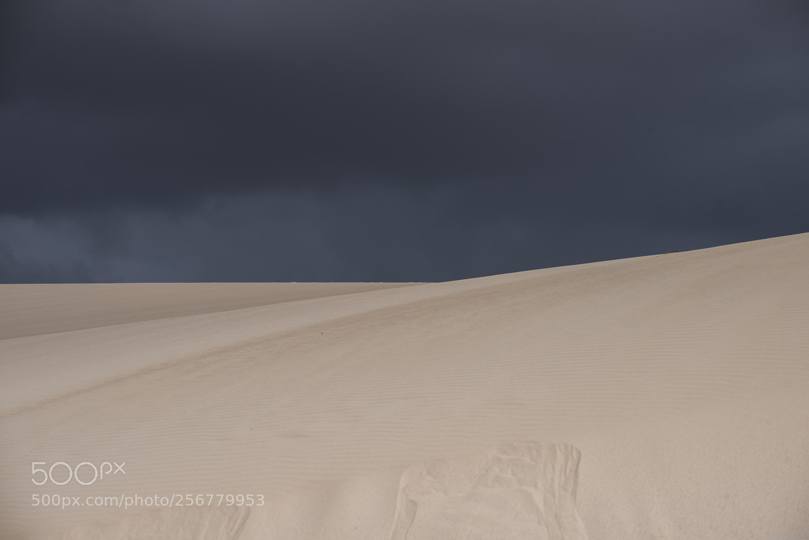 Nikon D750 sample photo. Desert storm photography