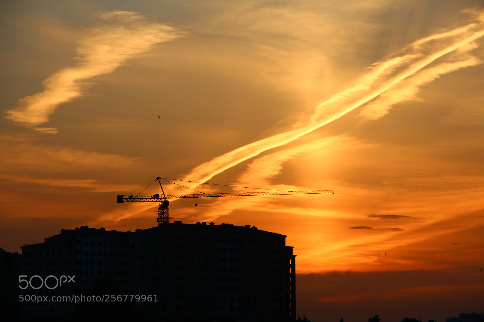 Canon EOS 700D (EOS Rebel T5i / EOS Kiss X7i) sample photo. Crane at sunset photography