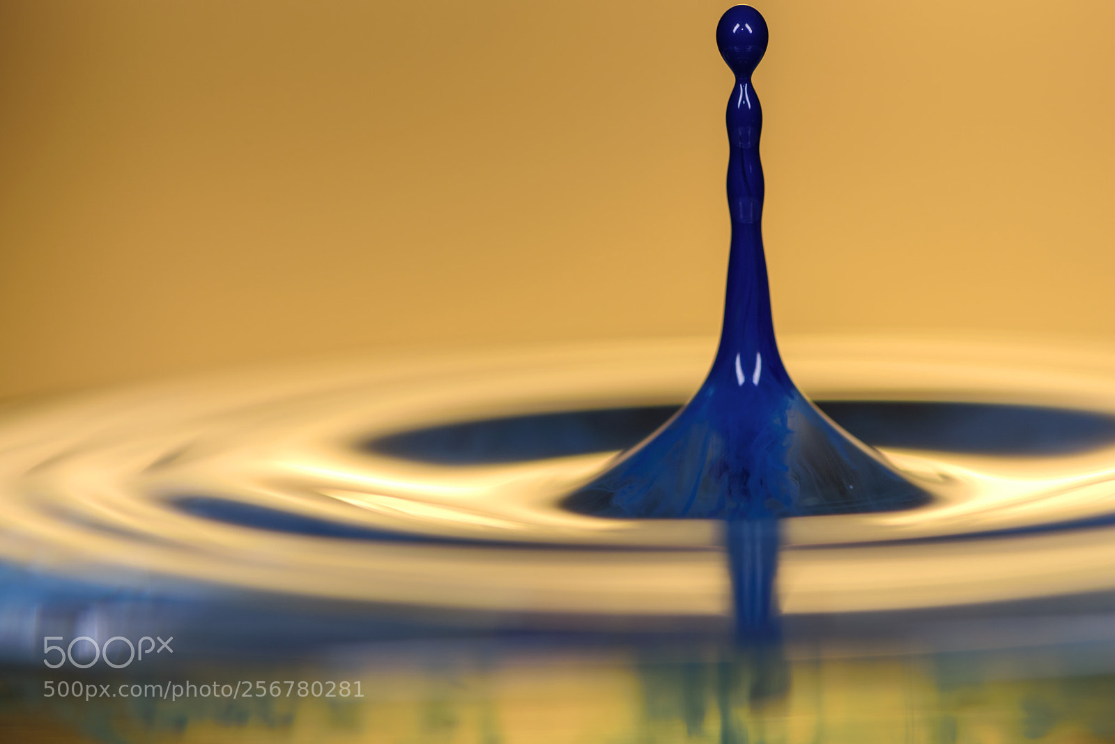 Nikon D810 sample photo. Water drop art. photography