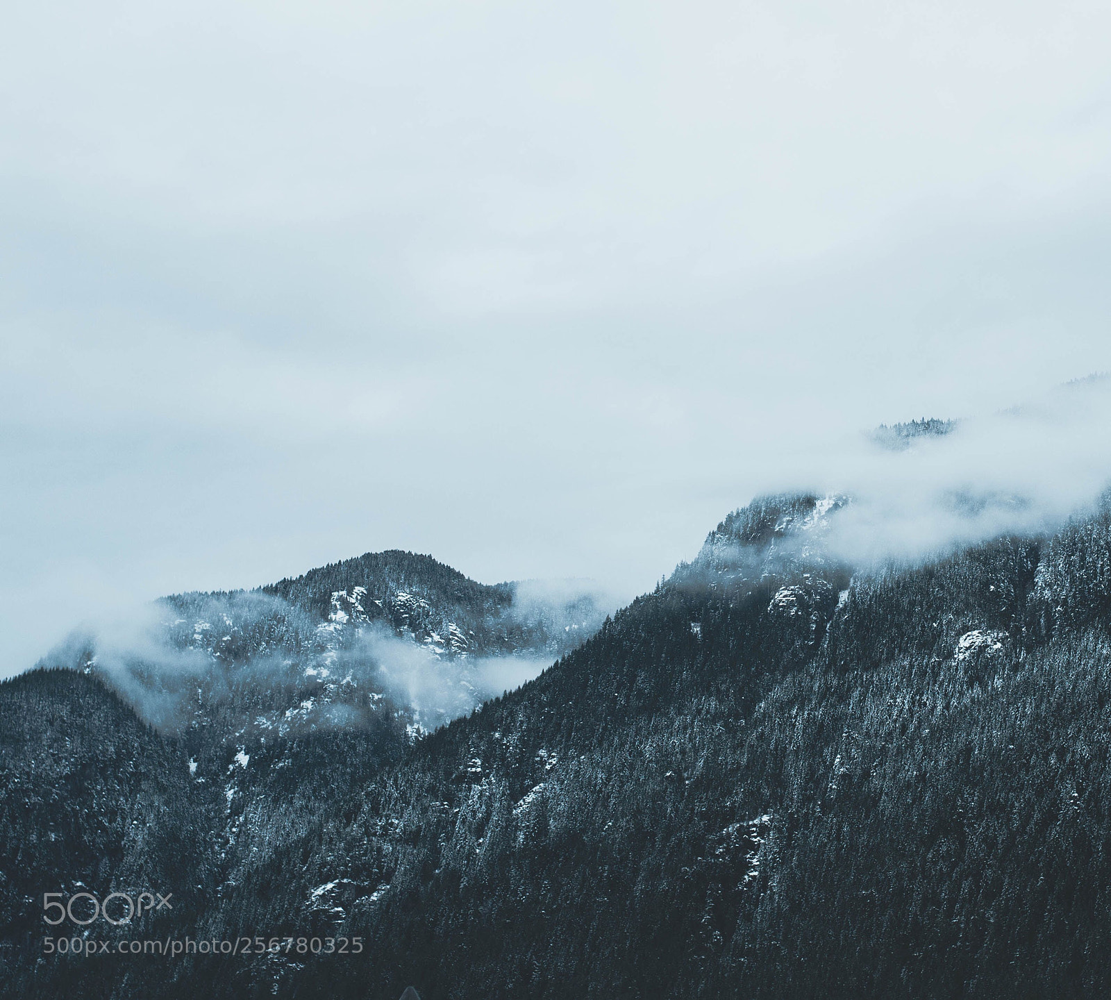 Nikon D3100 sample photo. Early morning fog photography
