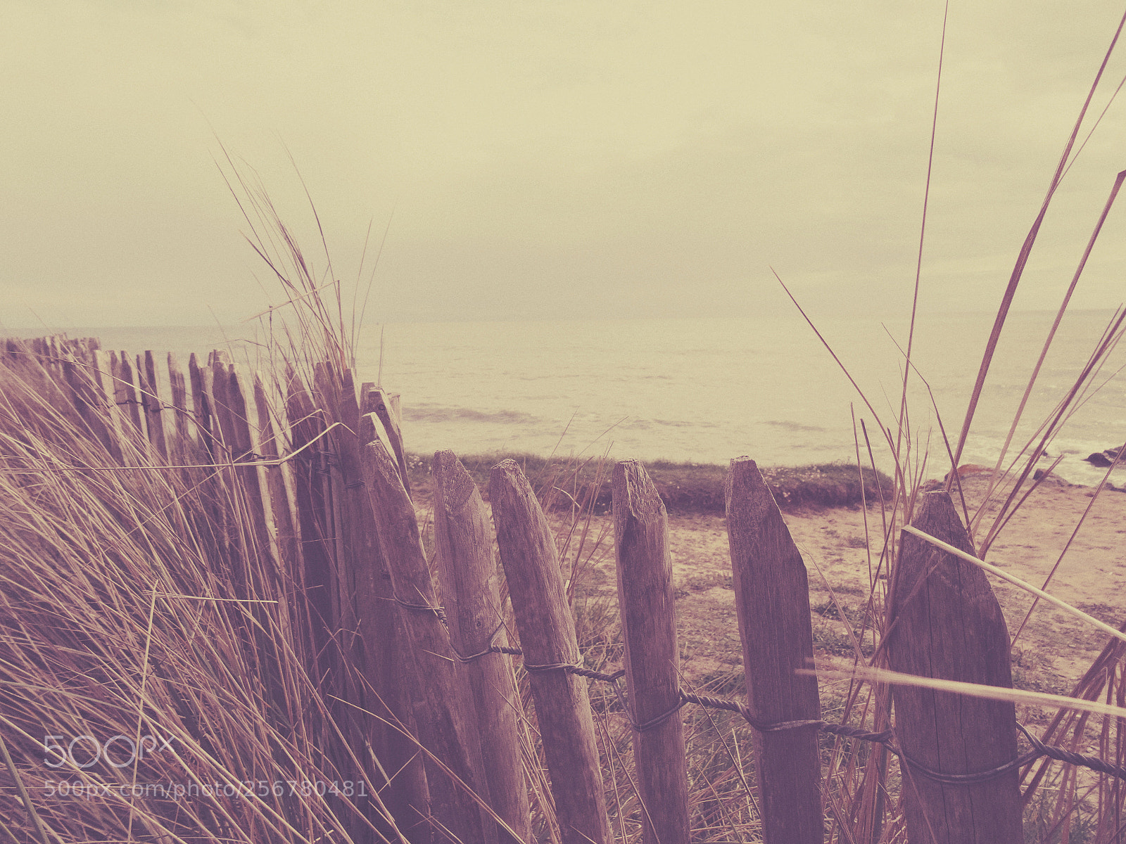 Sony Cyber-shot DSC-HX50V sample photo. La plage photography