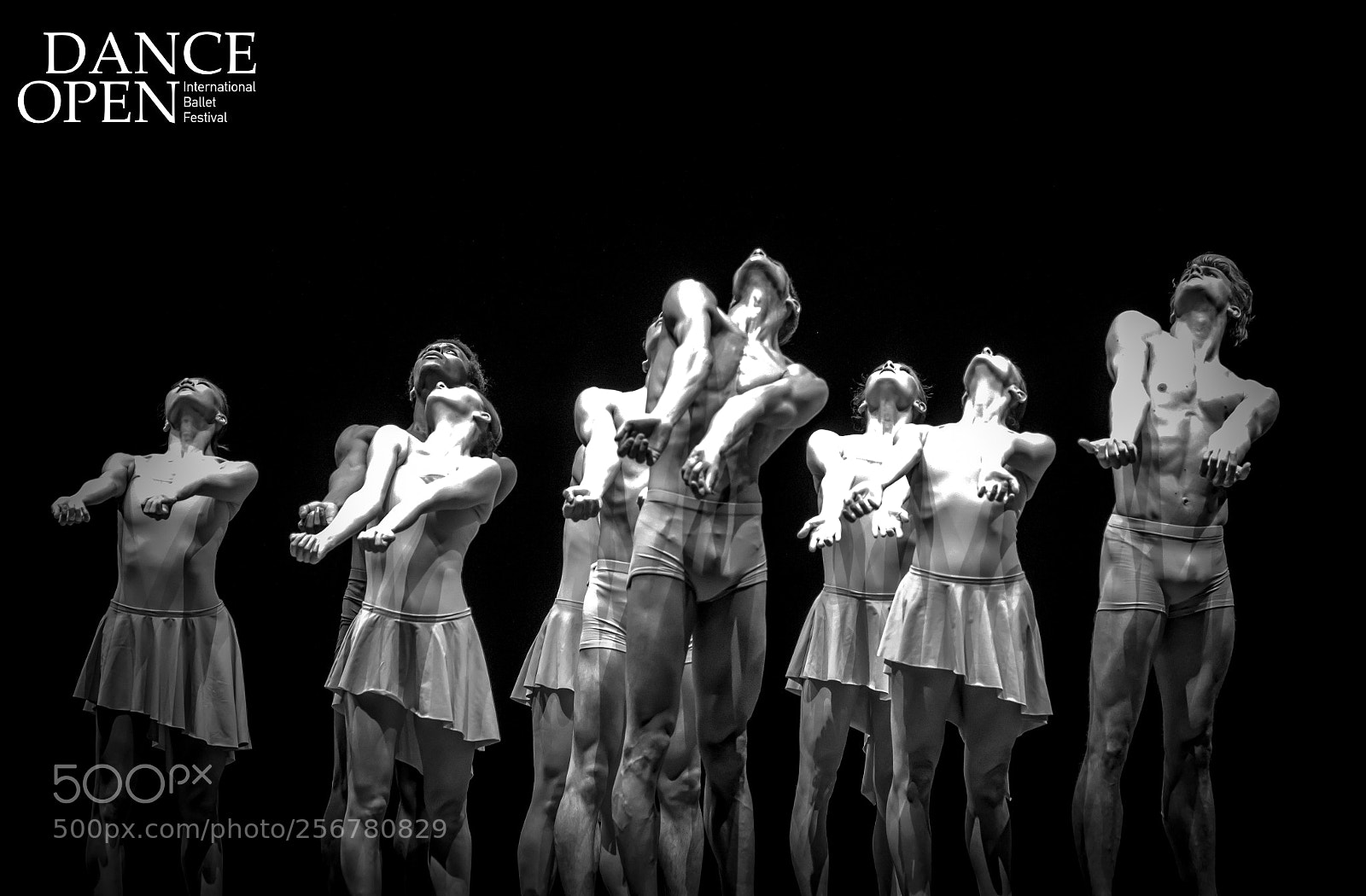 Canon EOS 60D sample photo. Het ballet photography