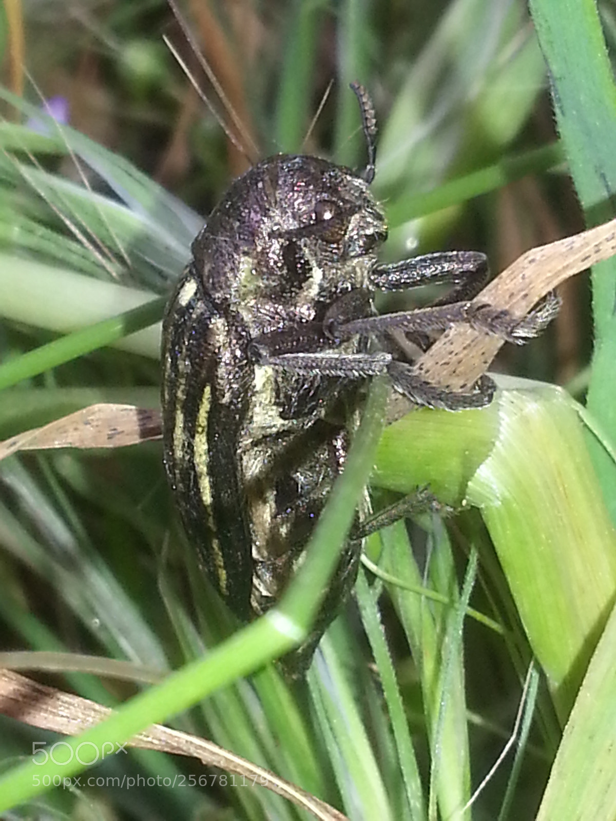 Samsung Galaxy S3 sample photo. Untitled photography