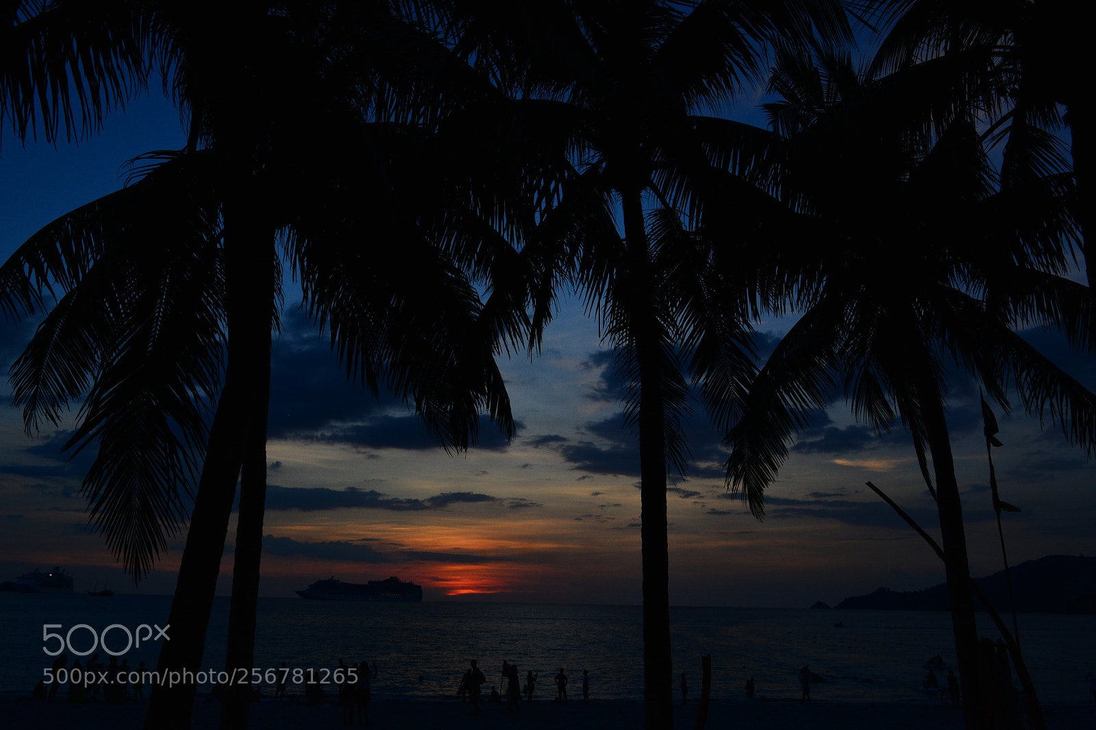Nikon D5200 sample photo. Tropics - vi photography