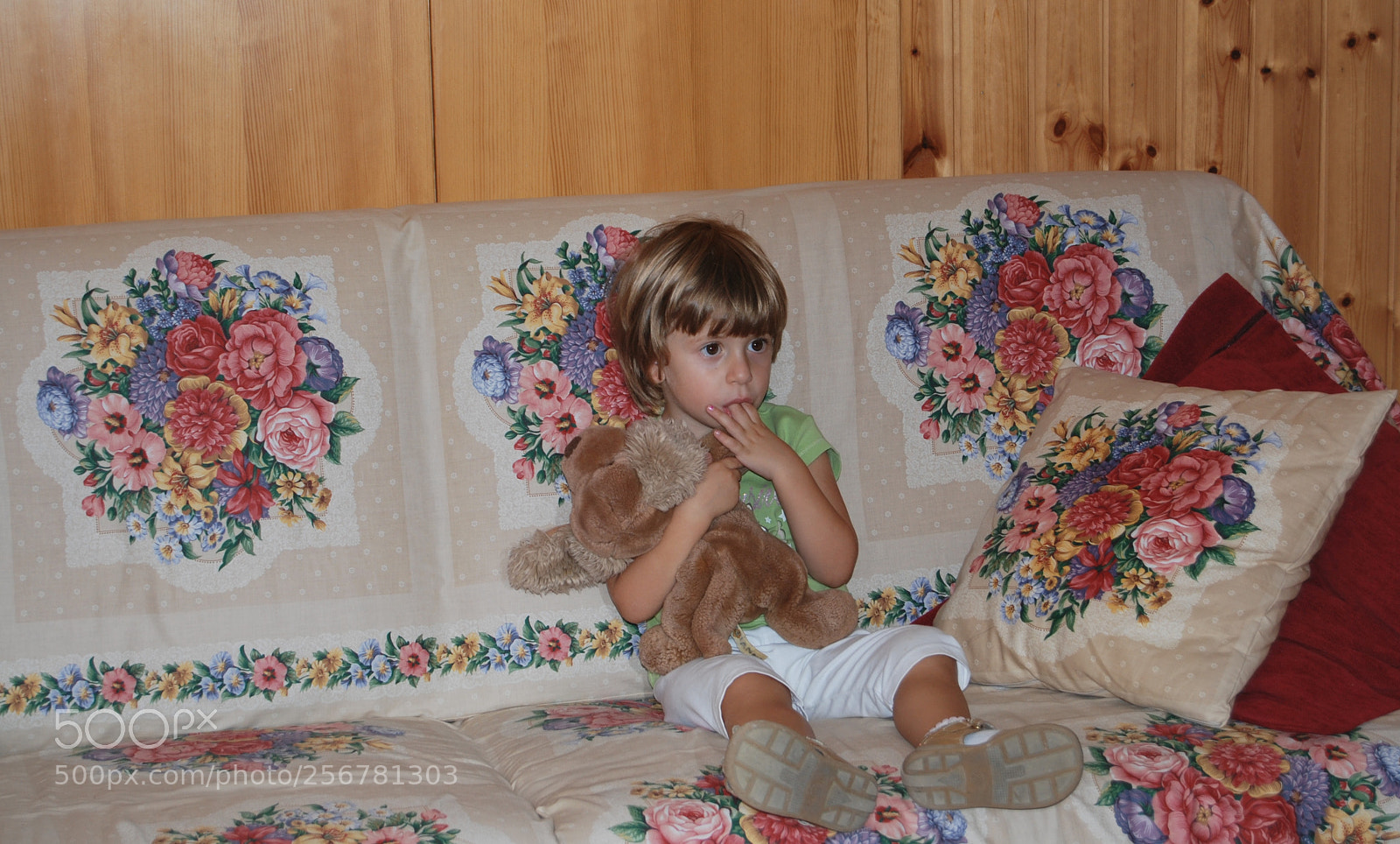 Nikon D60 sample photo. Version photography