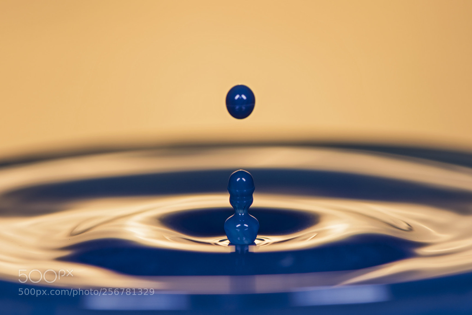 Nikon D810 sample photo. Blue water drop. photography