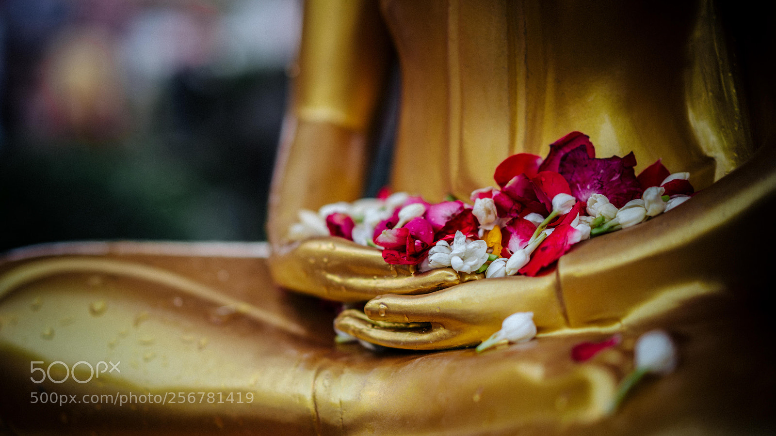 Sony a7R II sample photo. Offering photography