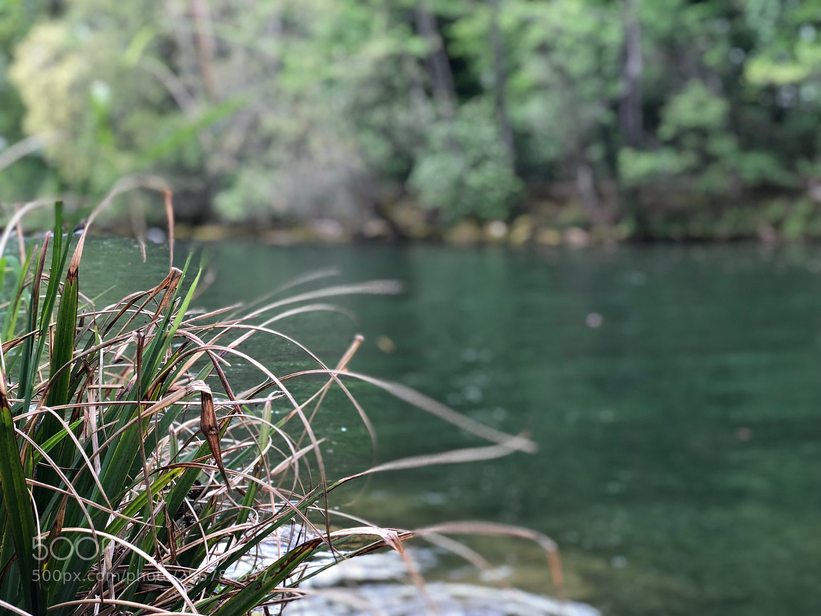 Apple iPhone X sample photo. Near the river photography