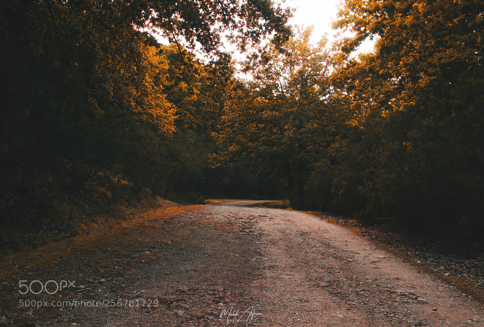 Nikon D3300 sample photo. On the road photography
