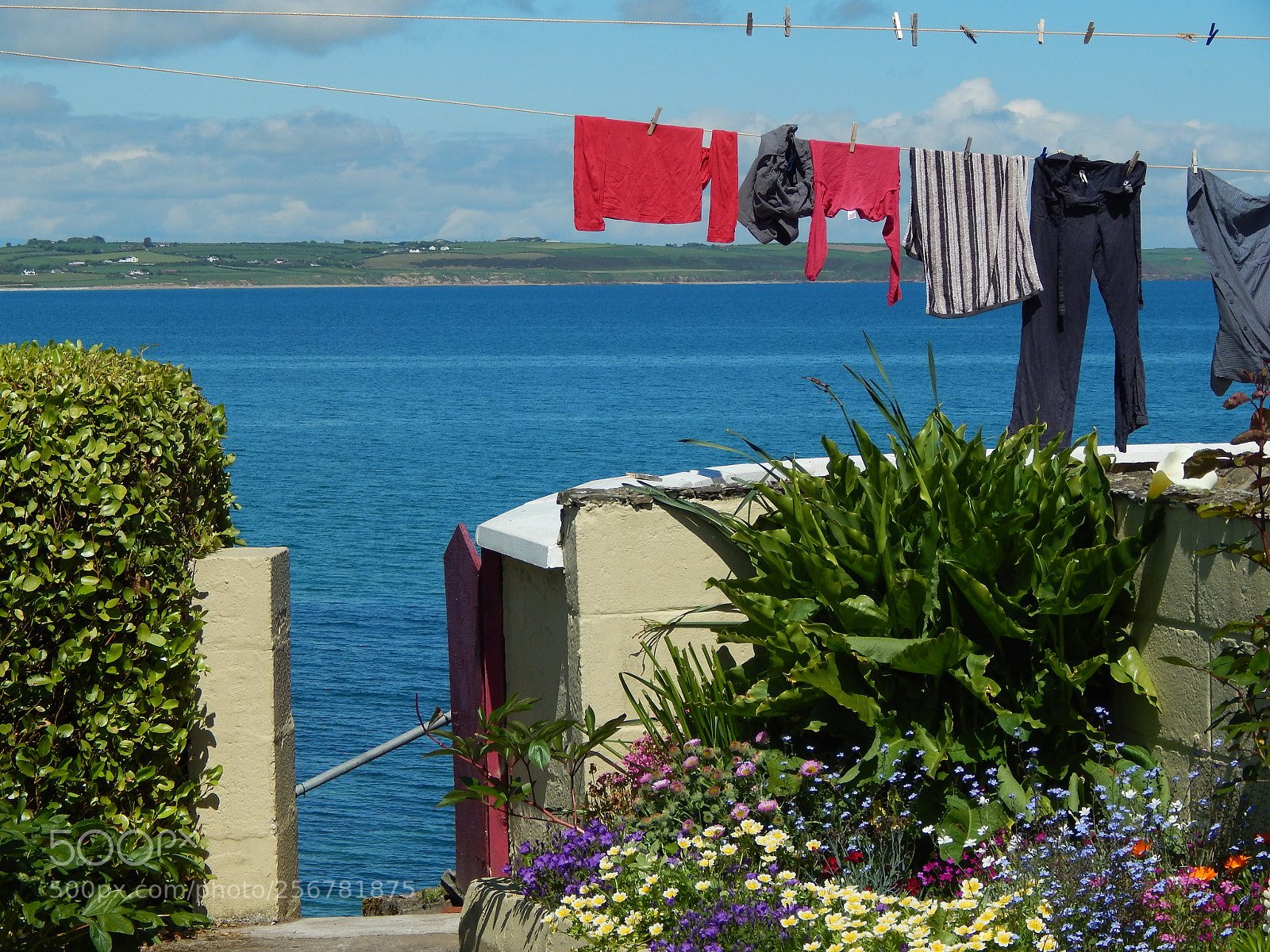 Nikon Coolpix L820 sample photo. Line-dried laundry by the photography