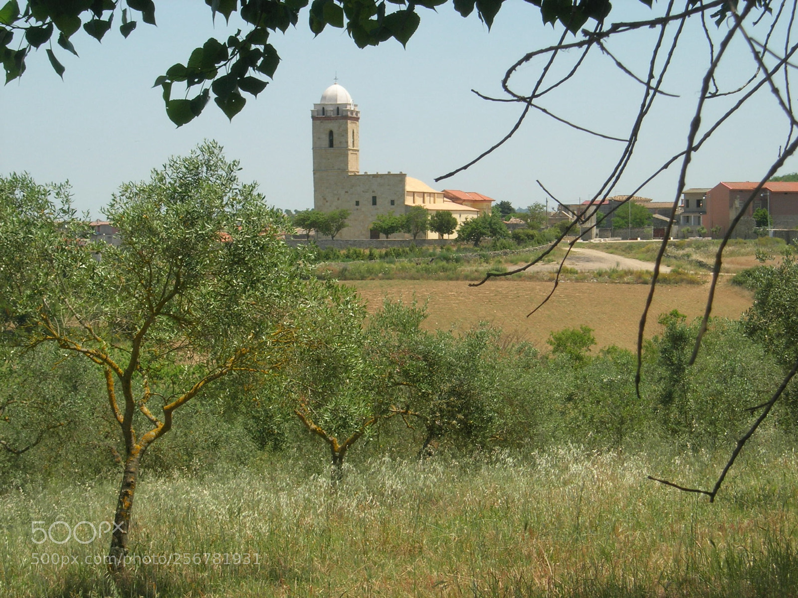 Nikon E5900 sample photo. Cattedrale nel deserto photography