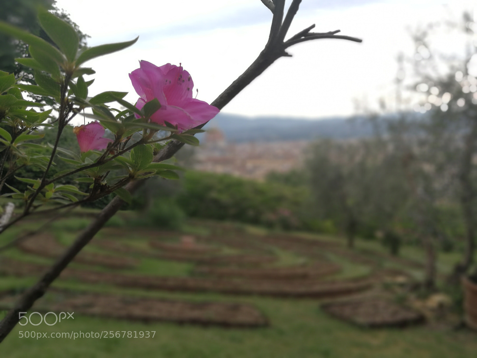 HUAWEI P10 Plus sample photo. Villa bardini photography