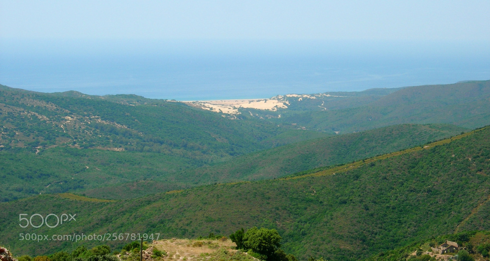 Nikon E5900 sample photo. Dune di torre dei photography