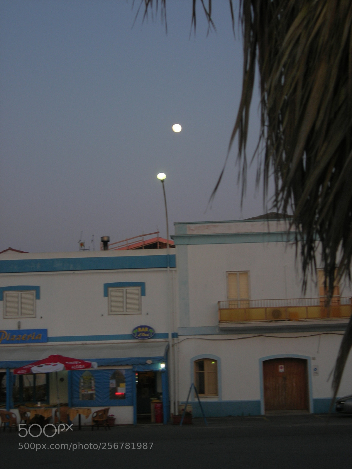 Nikon E5900 sample photo. Luna o lampione ? photography