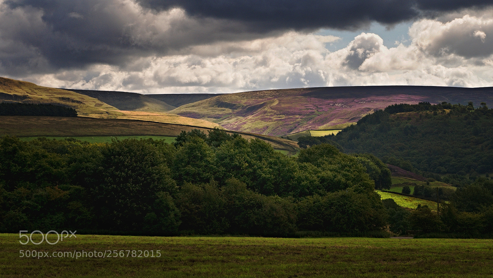 Panasonic Lumix DMC-G85 (Lumix DMC-G80) sample photo. Landscape in  derbyshire photography