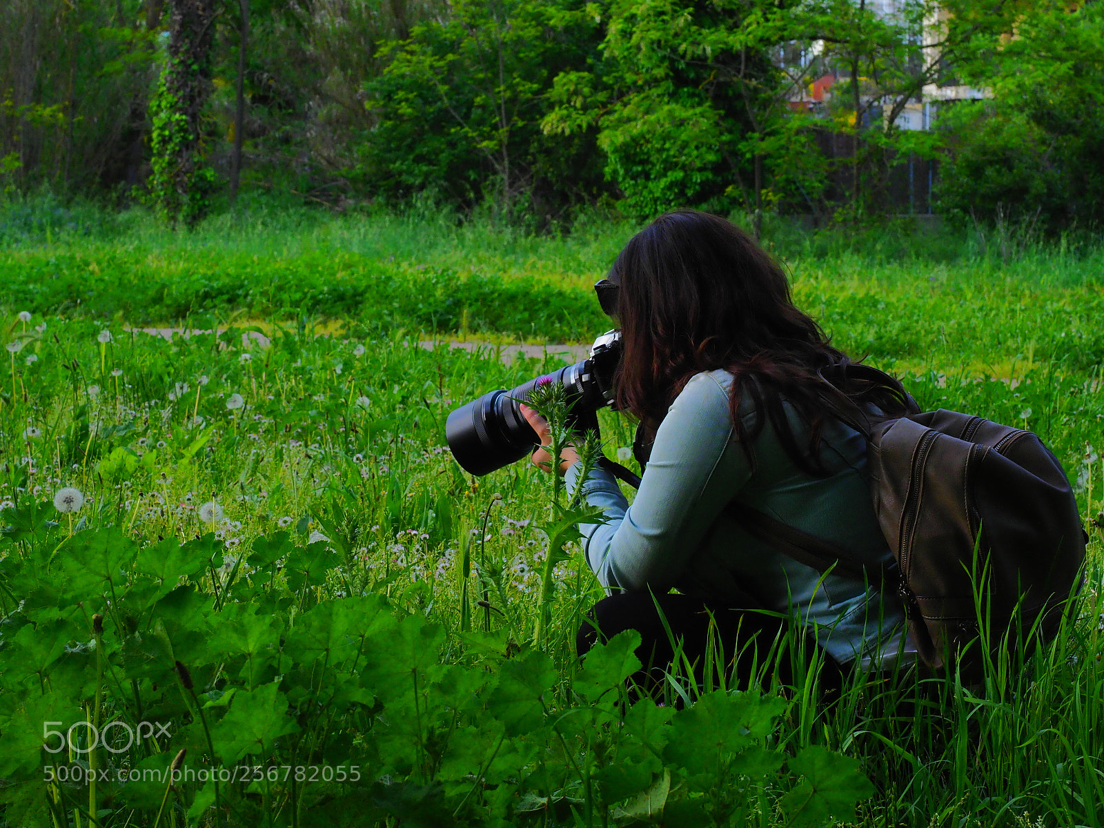 Olympus OM-D E-M1 Mark II sample photo. From olympus em1 mark photography