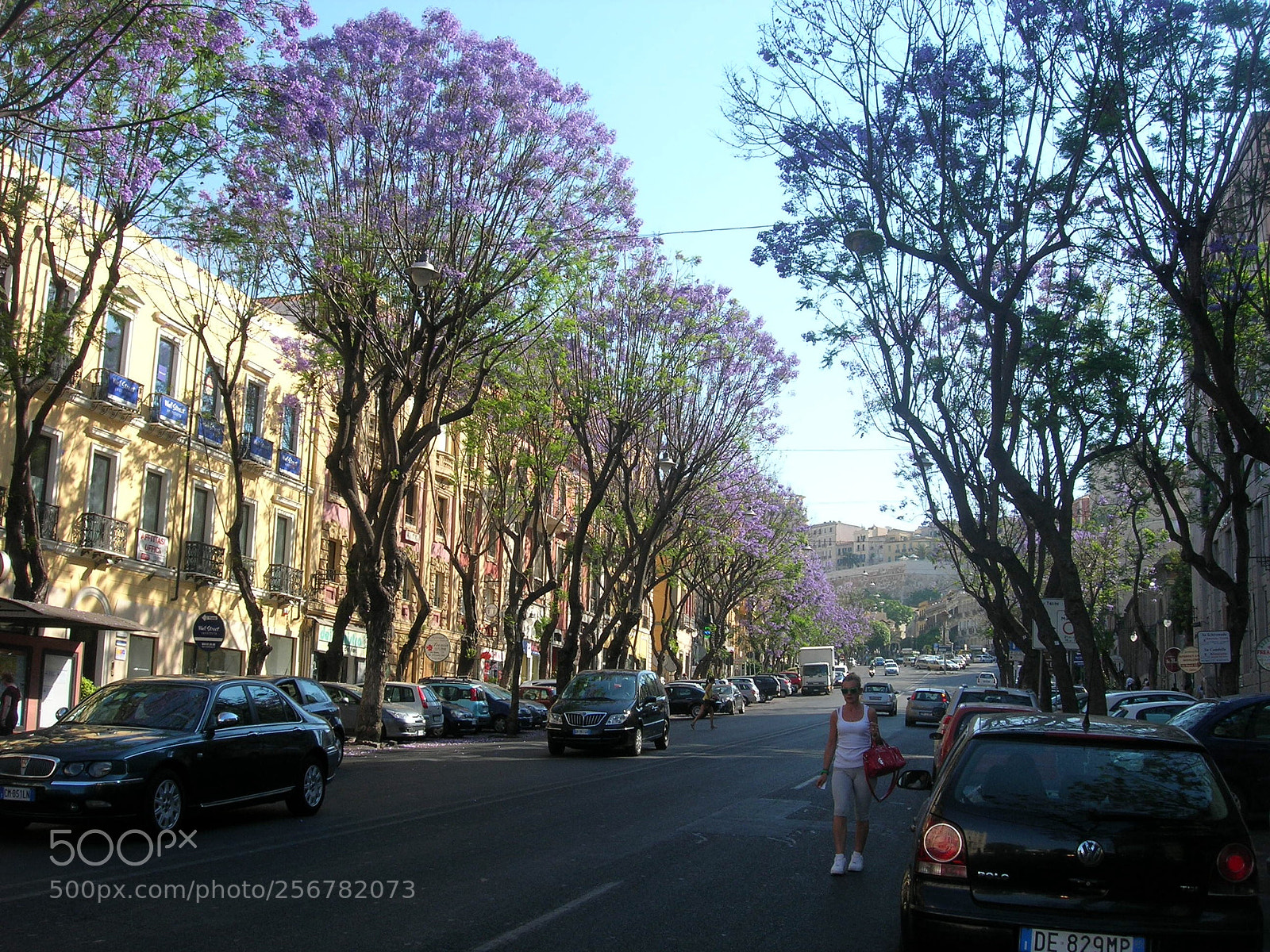 Nikon E5900 sample photo. Viale fiorito a cagliari photography
