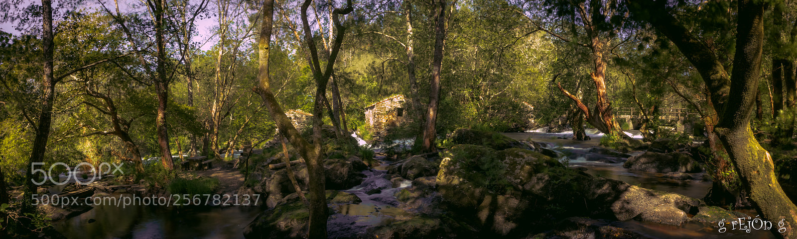Canon EOS 80D sample photo. O refuxio de verdes photography
