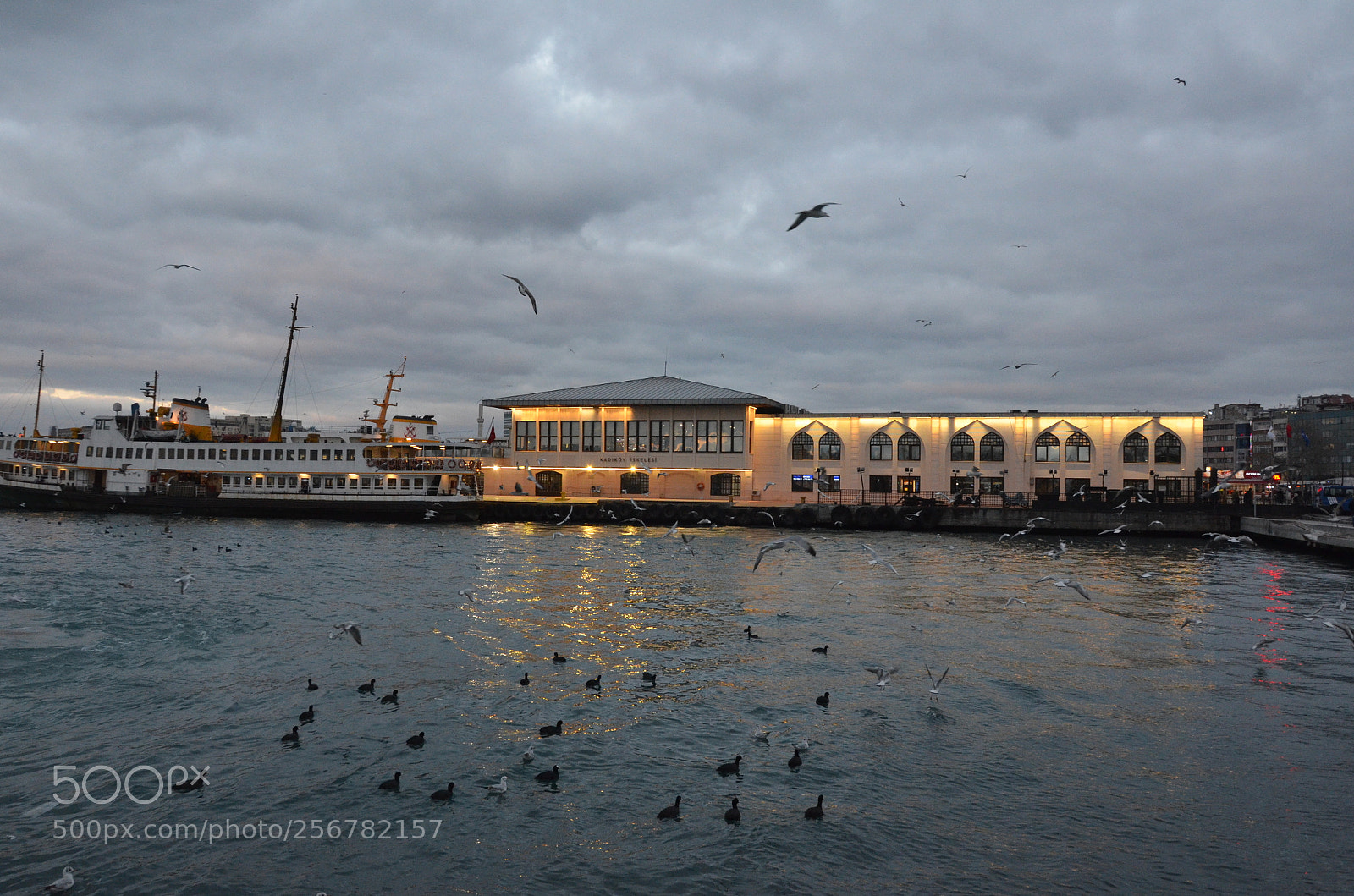 Nikon D7000 sample photo. Seagulls and ferry photography