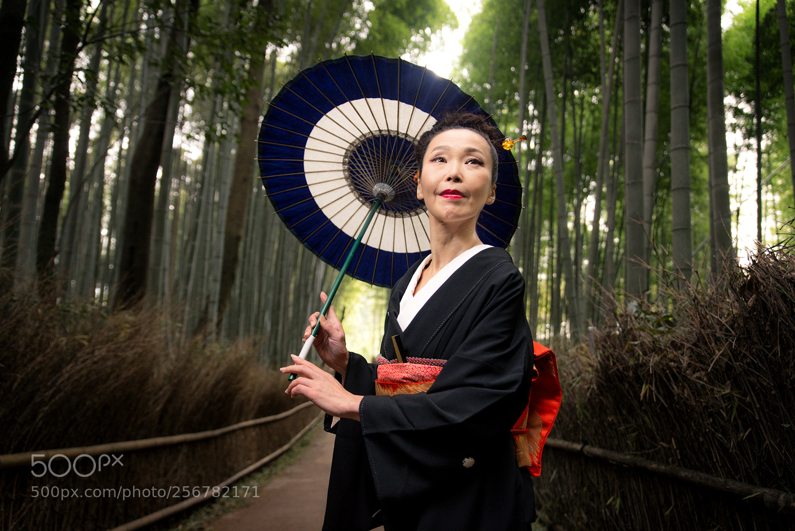 Nikon D610 sample photo. Japanese woman with kimono photography
