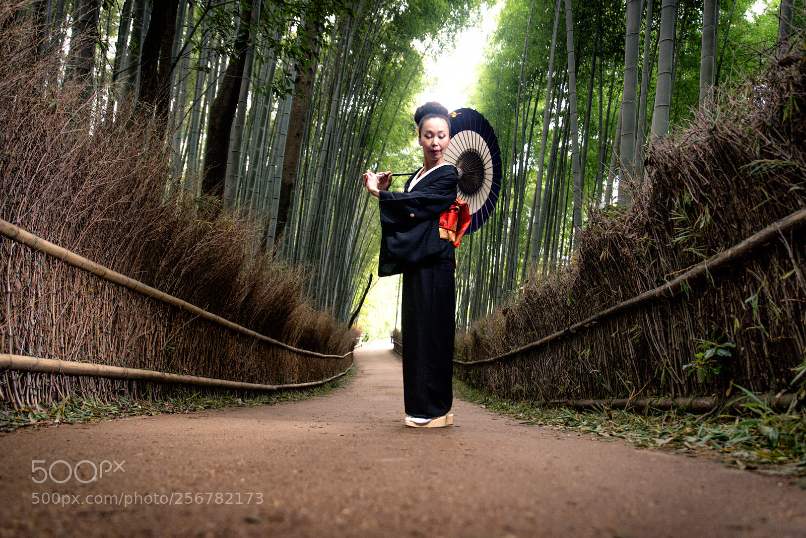 Nikon D610 sample photo. Japanese woman with kimono photography