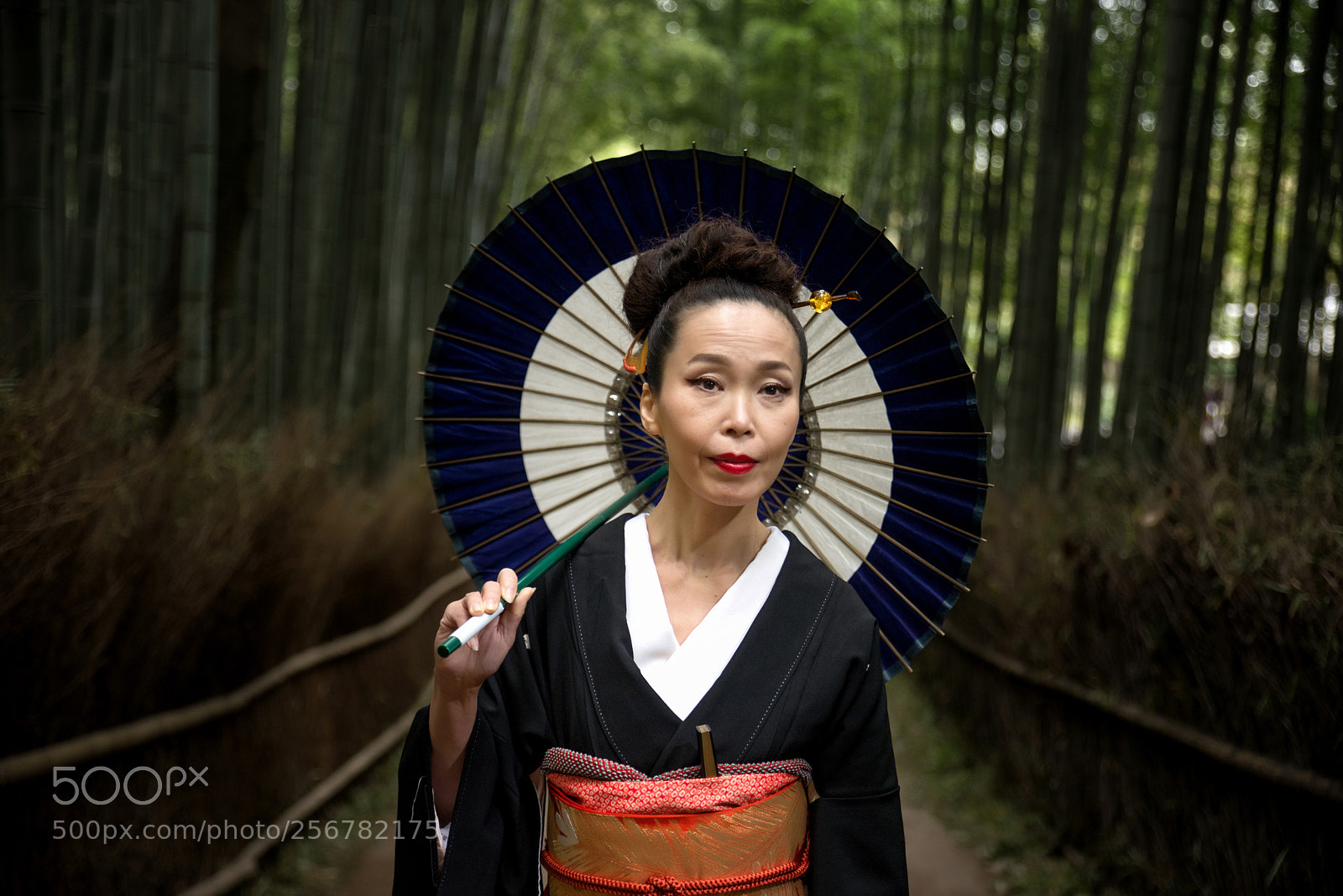 Nikon D610 sample photo. Japanese woman with kimono photography