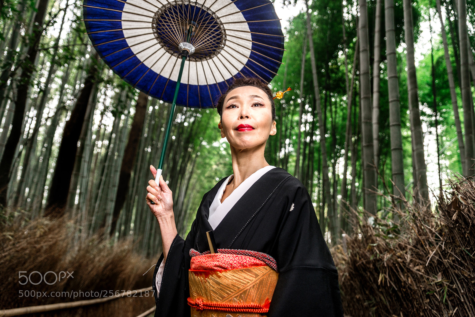 Nikon D610 sample photo. Japanese woman with kimono photography