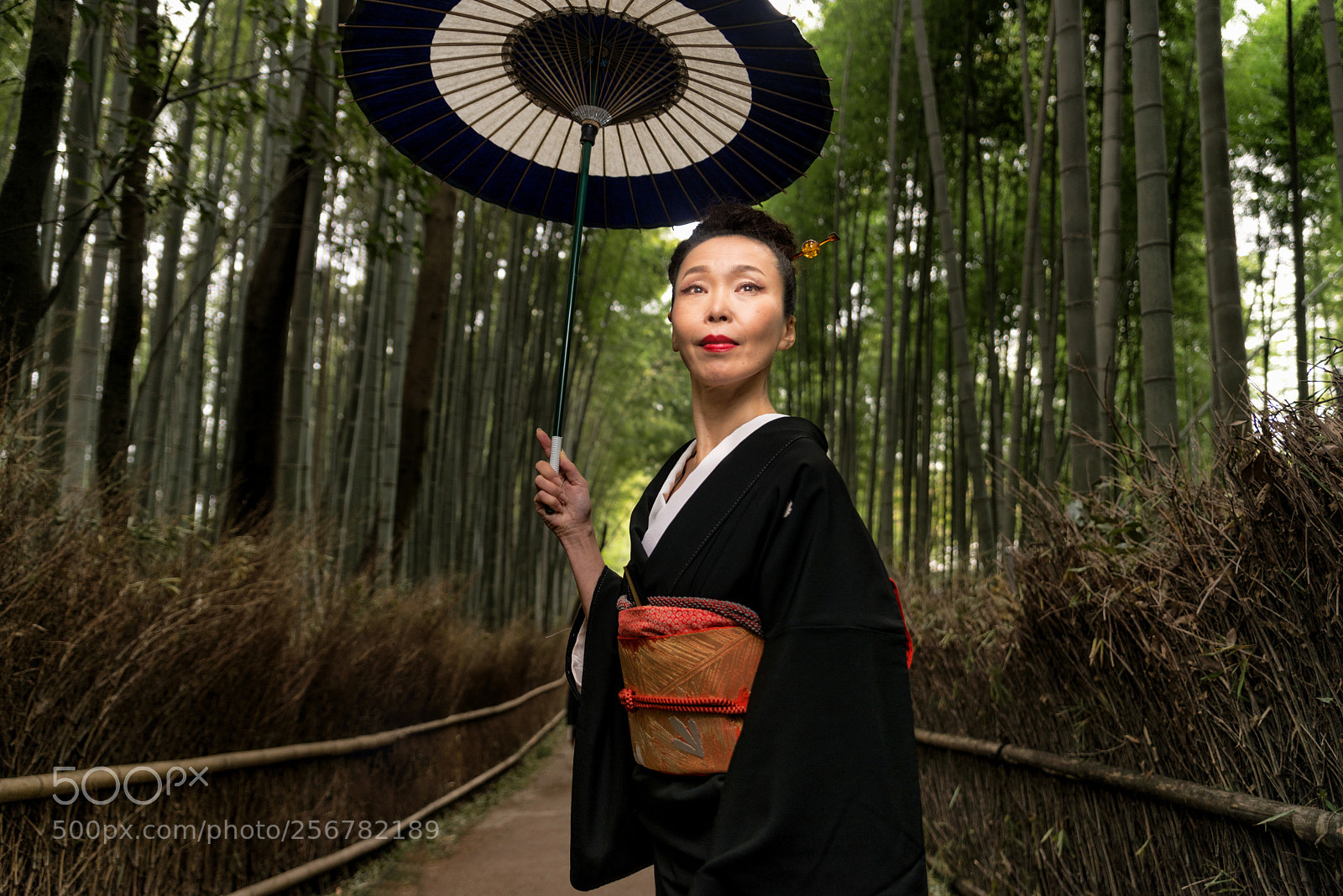 Nikon D610 sample photo. Japanese woman with kimono photography