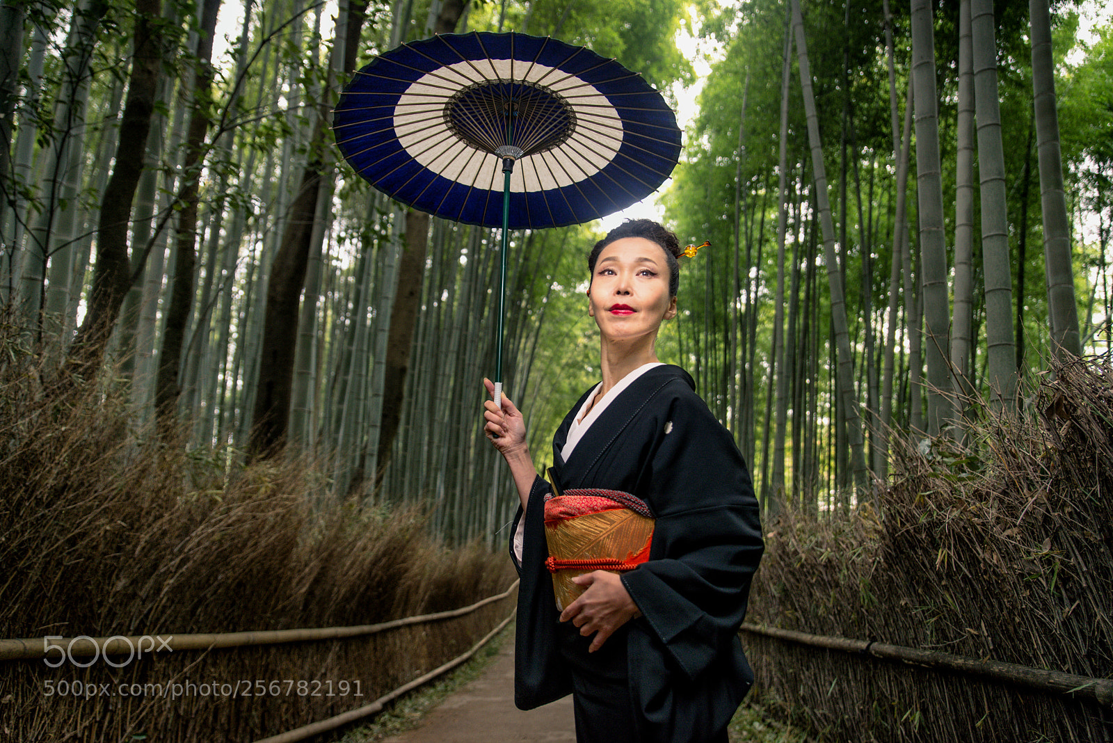 Nikon D610 sample photo. Japanese woman with kimono photography