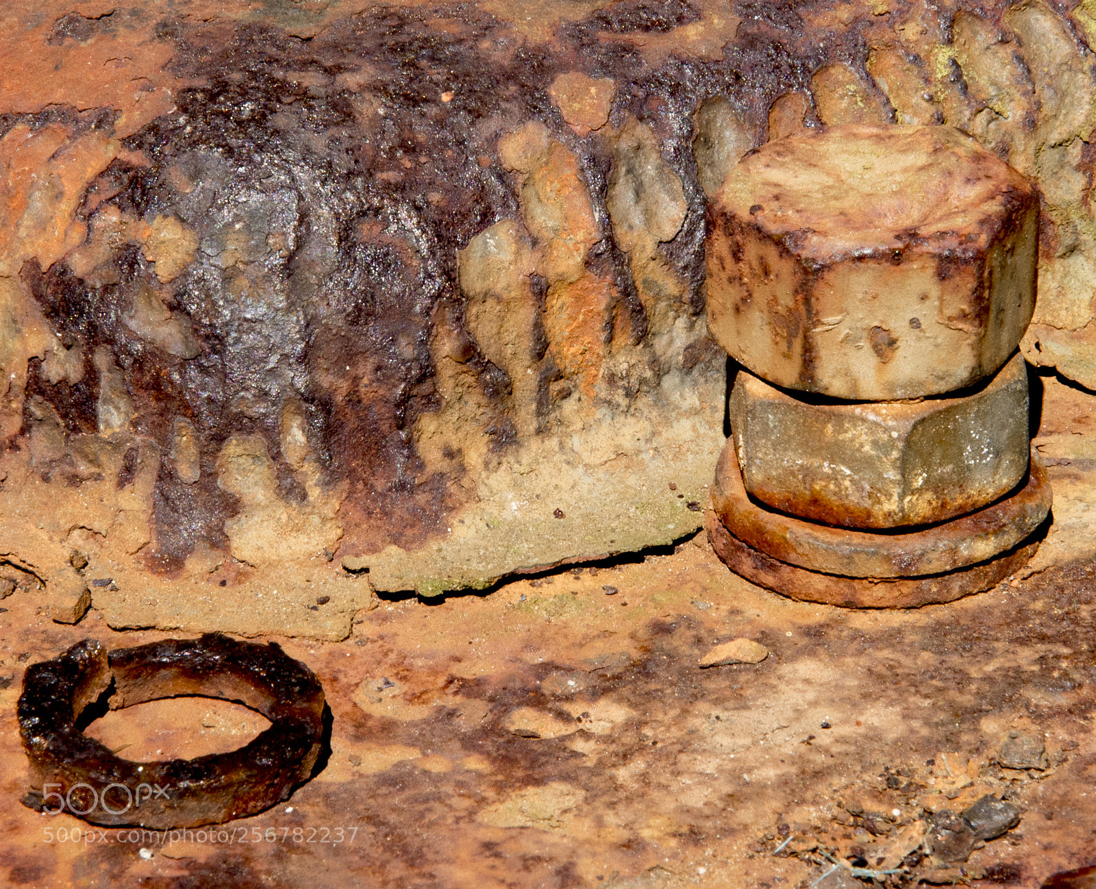Nikon D500 sample photo. Rust! photography