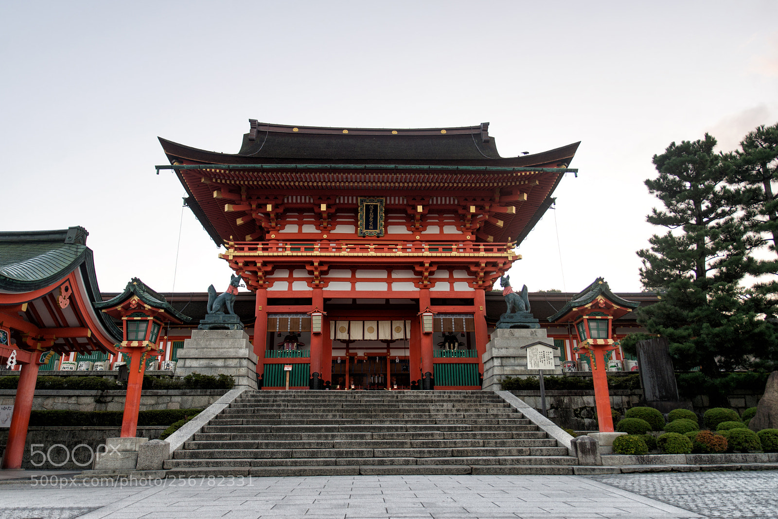 Nikon D610 sample photo. Red torii of fushimi photography