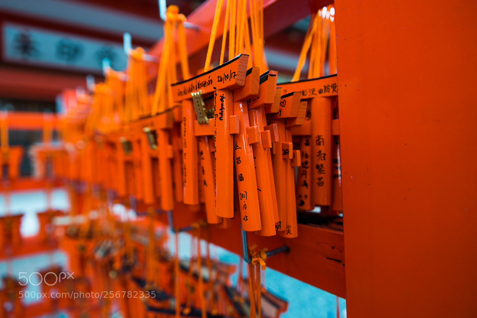 Nikon D610 sample photo. Red torii of fushimi photography
