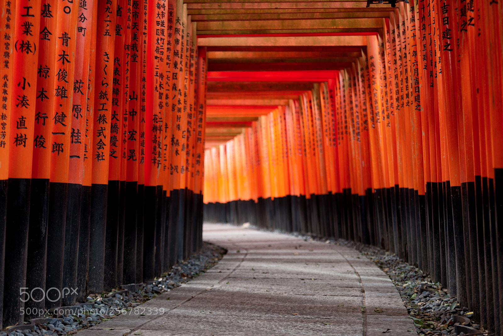 Nikon D610 sample photo. Red torii of fushimi photography