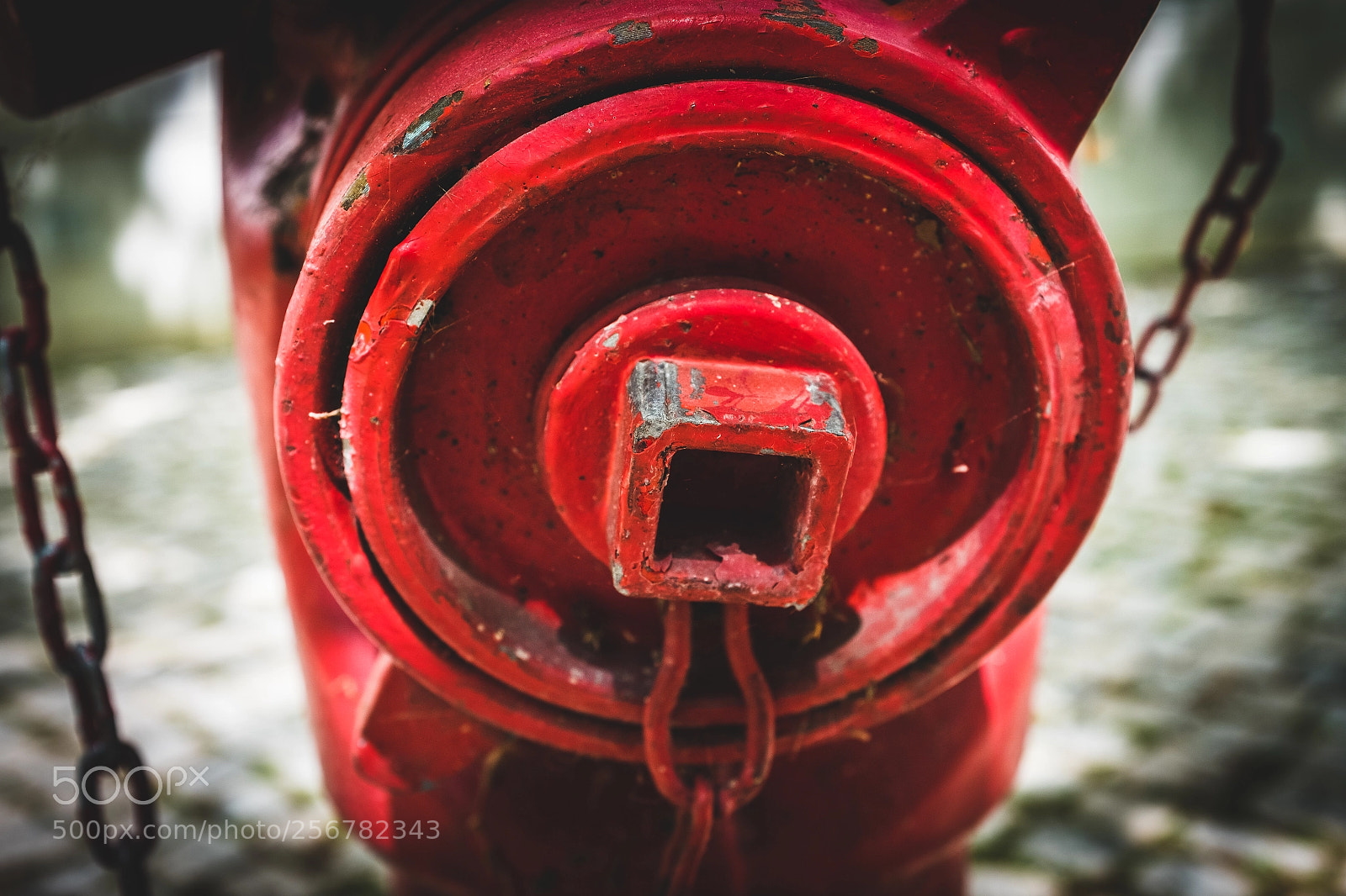 Fujifilm X100F sample photo. Fire hydrant photography