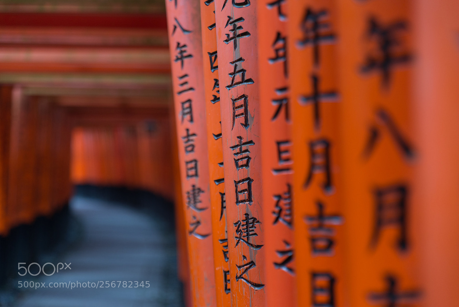 Nikon D610 sample photo. Red torii of fushimi photography