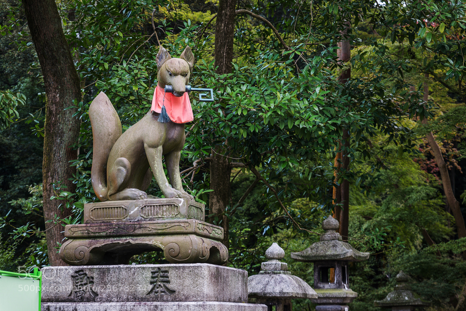 Nikon D610 sample photo. Red torii of fushimi photography