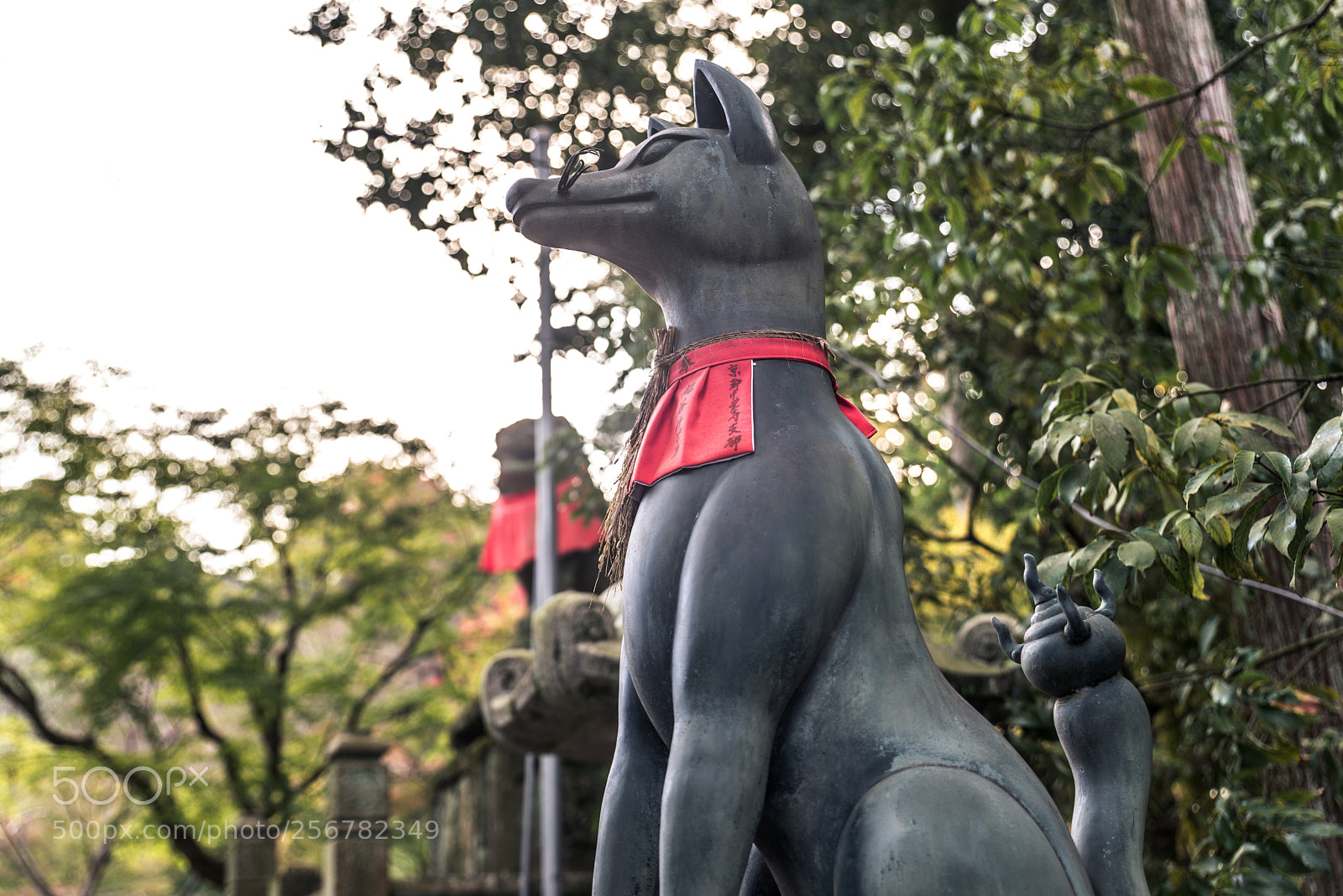 Nikon D610 sample photo. Red torii of fushimi photography