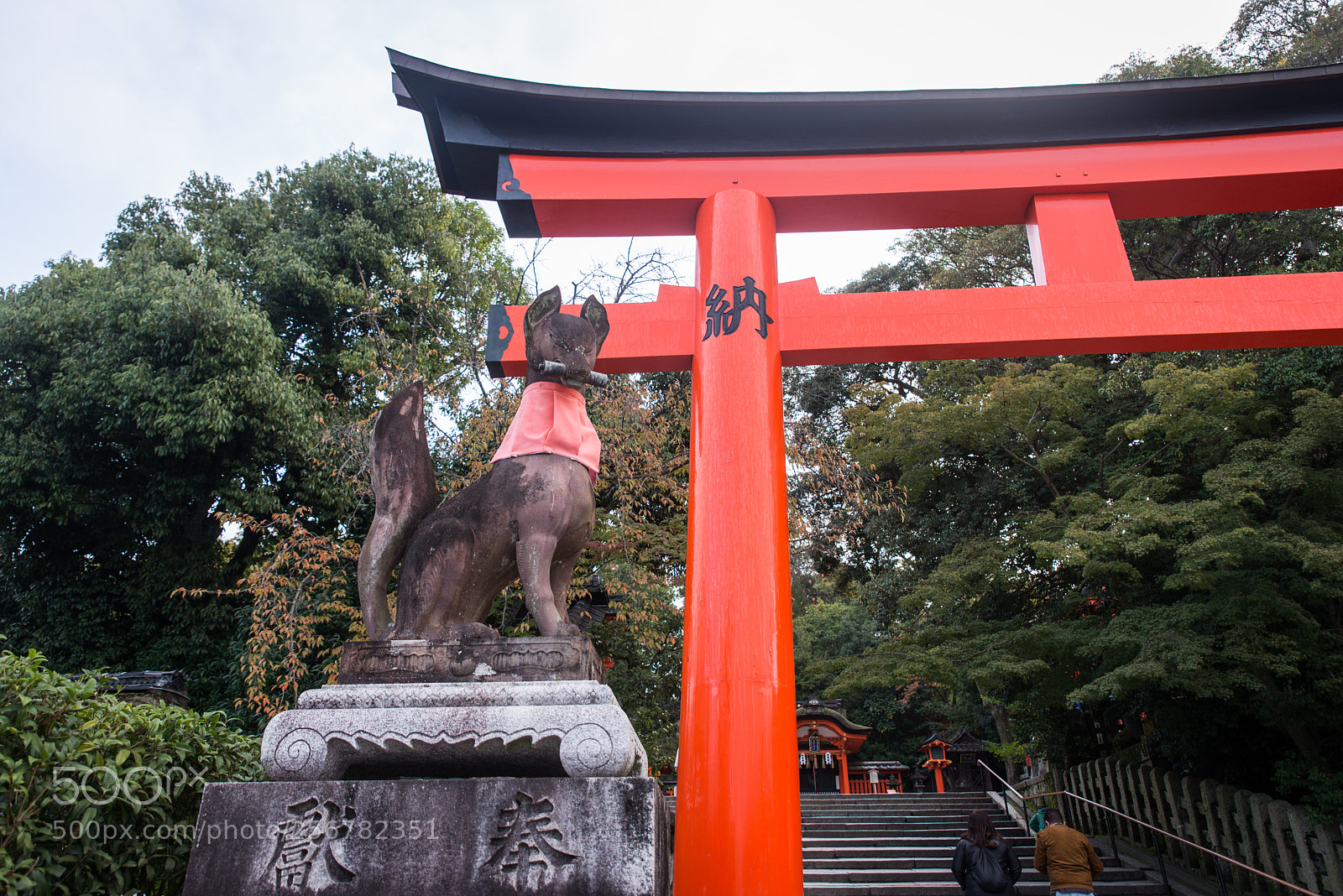 Nikon D610 sample photo. Red torii of fushimi photography