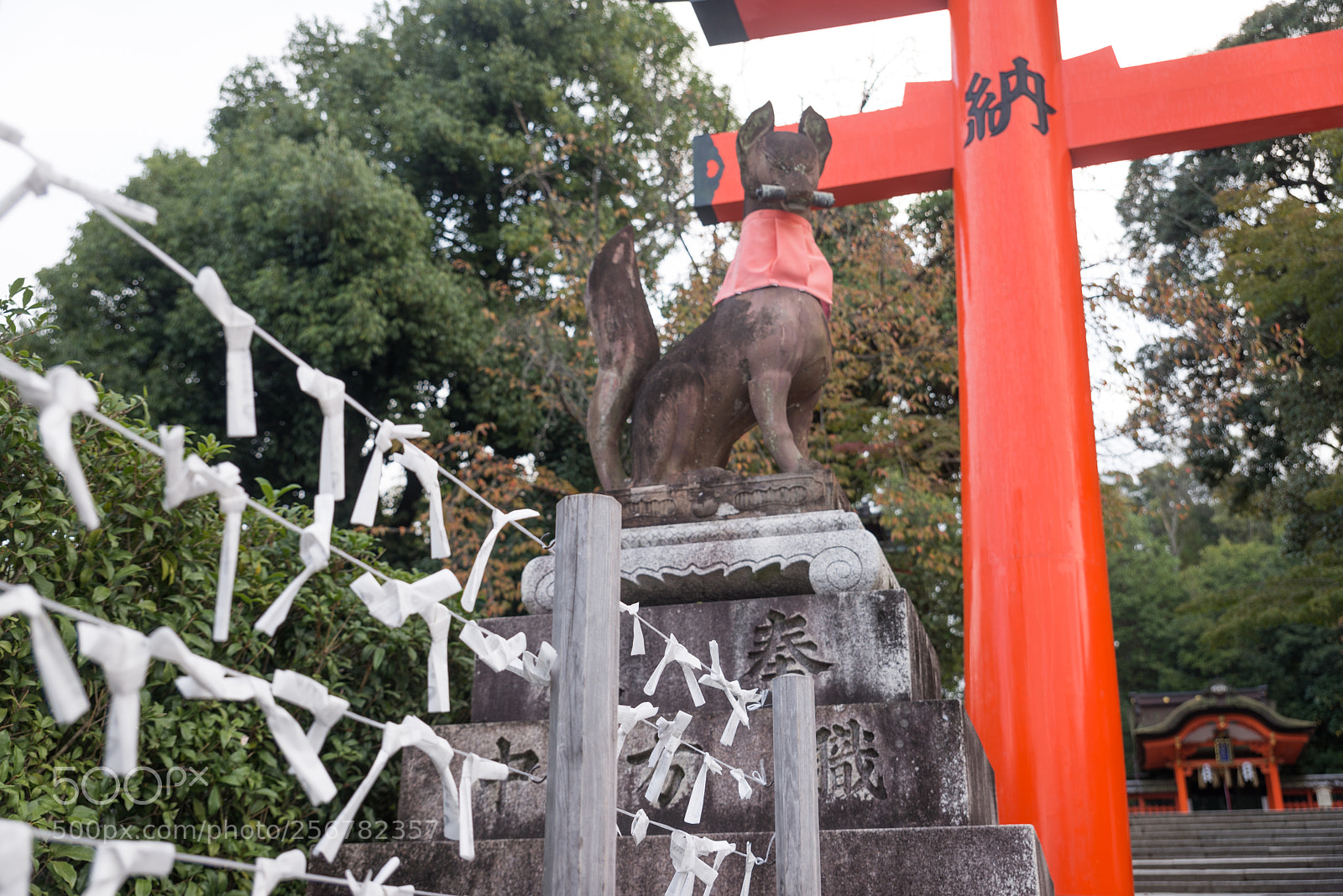 Nikon D610 sample photo. Red torii of fushimi photography