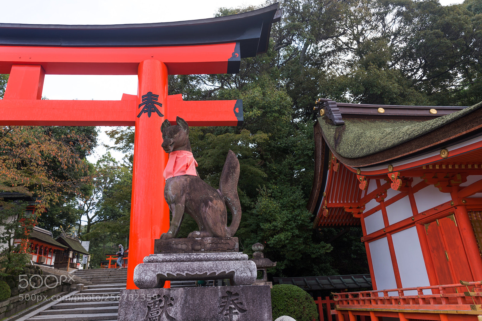 Nikon D610 sample photo. Red torii of fushimi photography