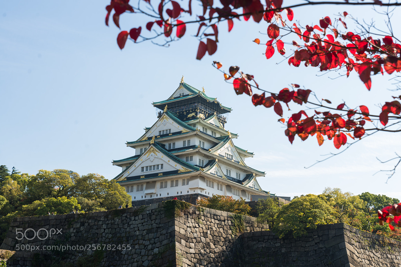 Nikon D610 sample photo. Osaka castle imperial palace photography