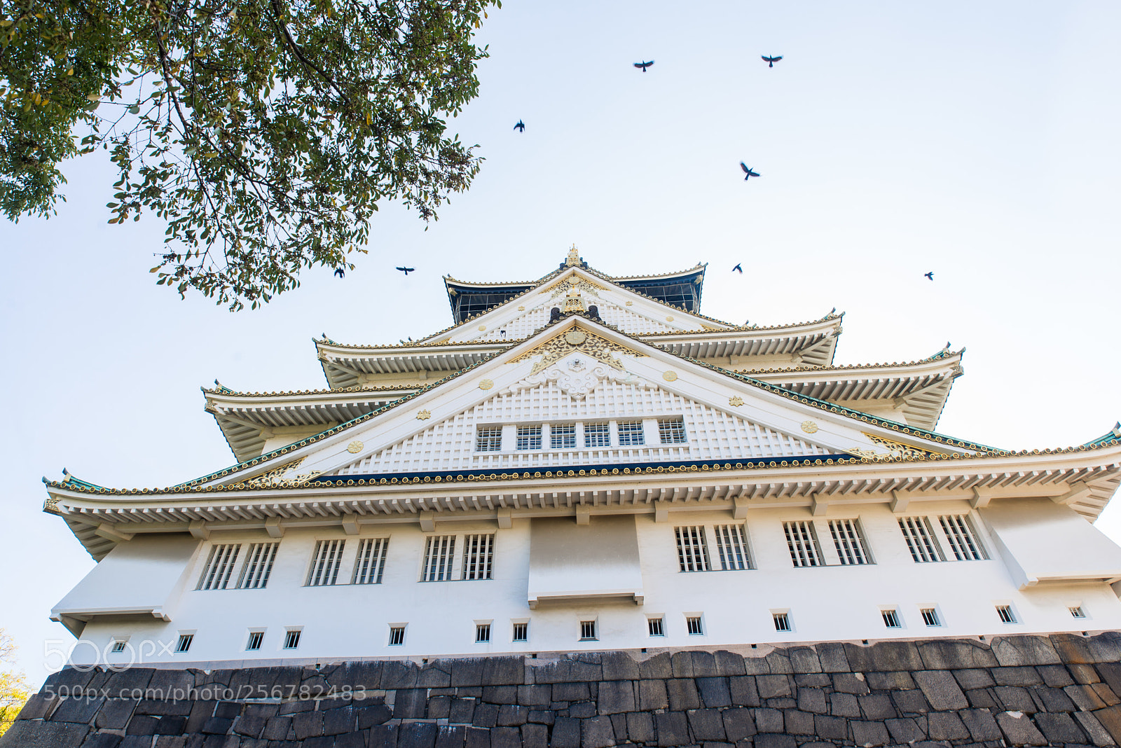 Nikon D610 sample photo. Osaka castle imperial palace photography